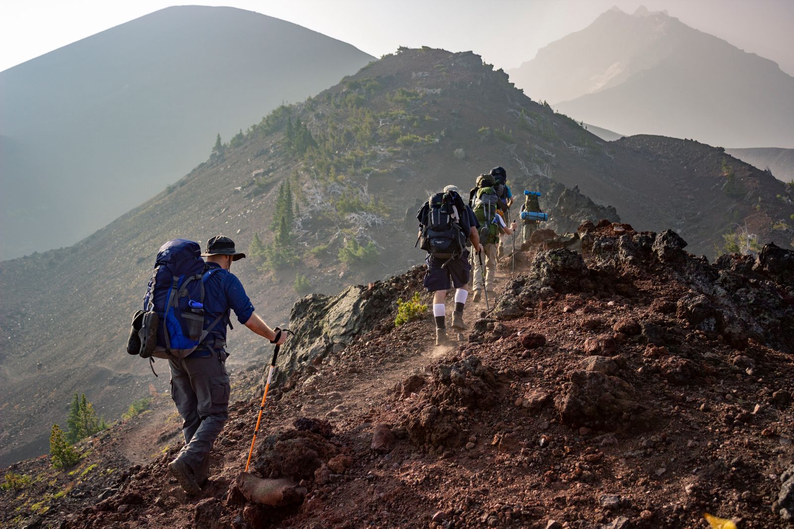 Whistler mountain trail winding through alpine forest with peak views